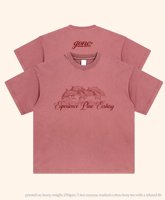 Blood Pure Ecstasy Heavy Weight Boxy Tee