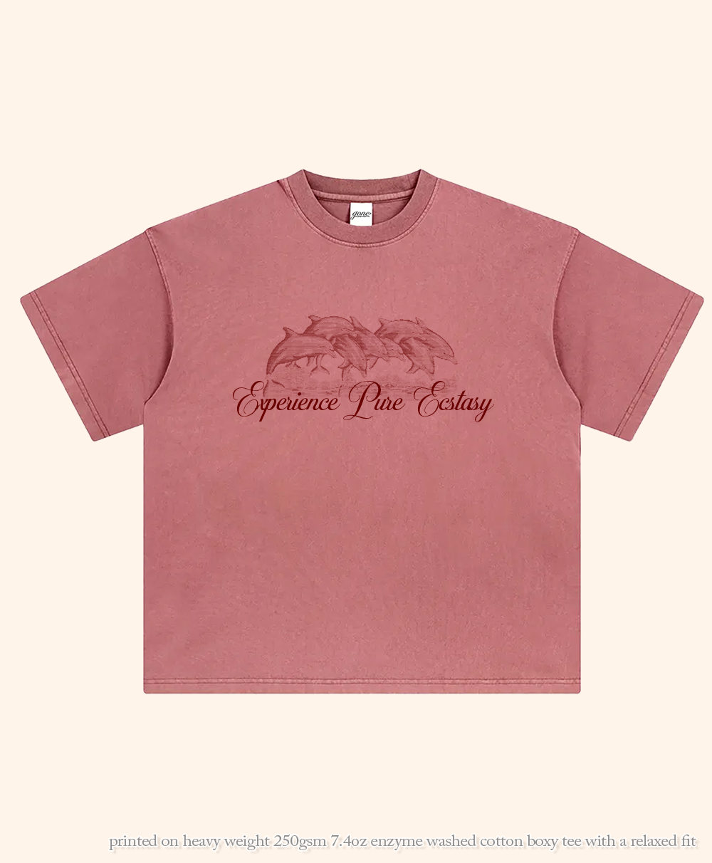 Blood Pure Ecstasy Heavy Weight Boxy Tee