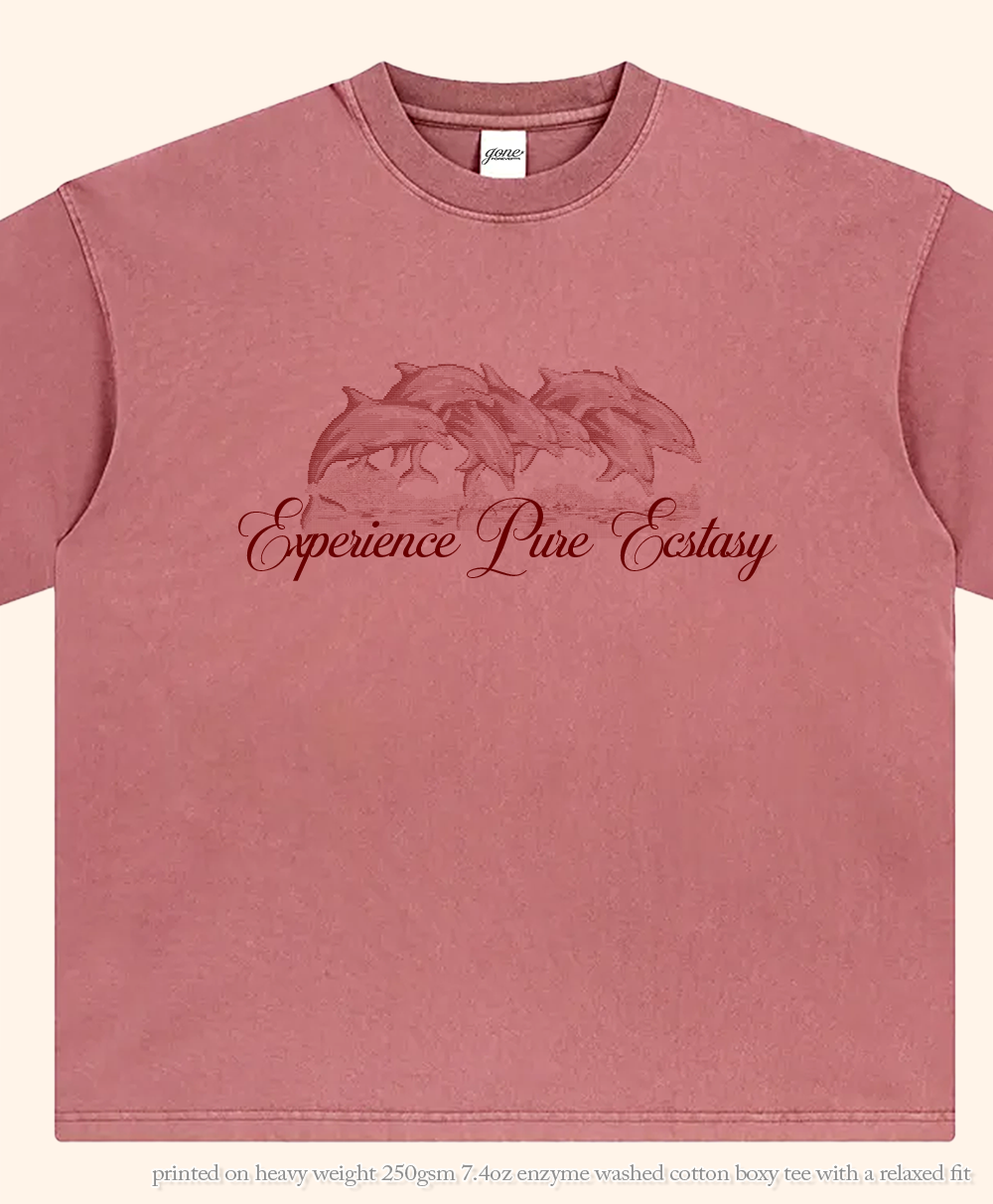 Blood Pure Ecstasy Heavy Weight Boxy Tee