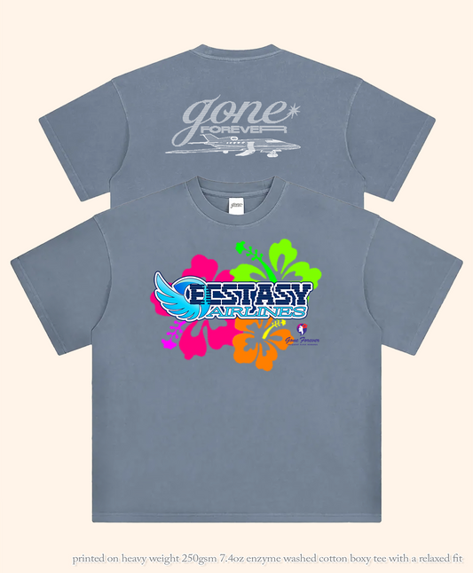 Freakquent Flyer Heavy Weight Faded Tee